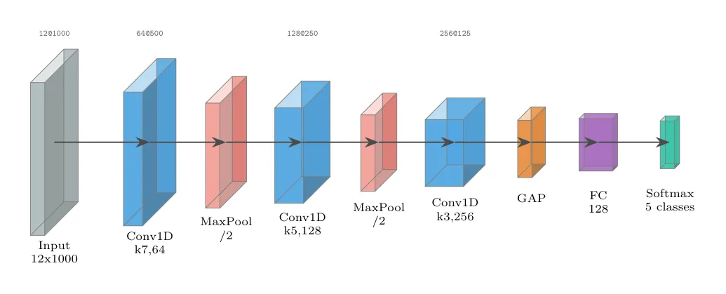 1D-CNN ECG encoder: input, three conv blocks with pooling, global average pooling, dense layer, softmax