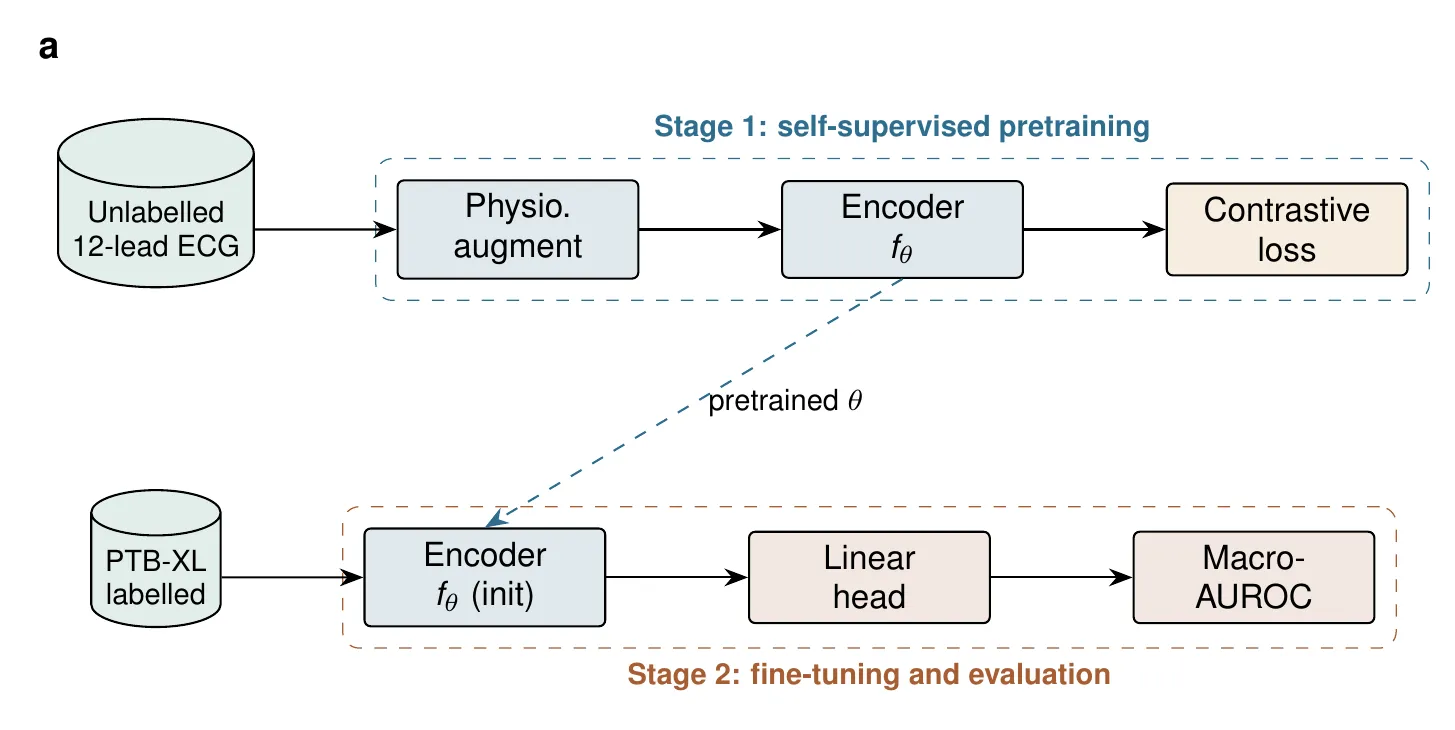 Two-stage pipeline diagram, Nature preset: sans-serif labels, hairline strokes, muted fills, bold panel letter